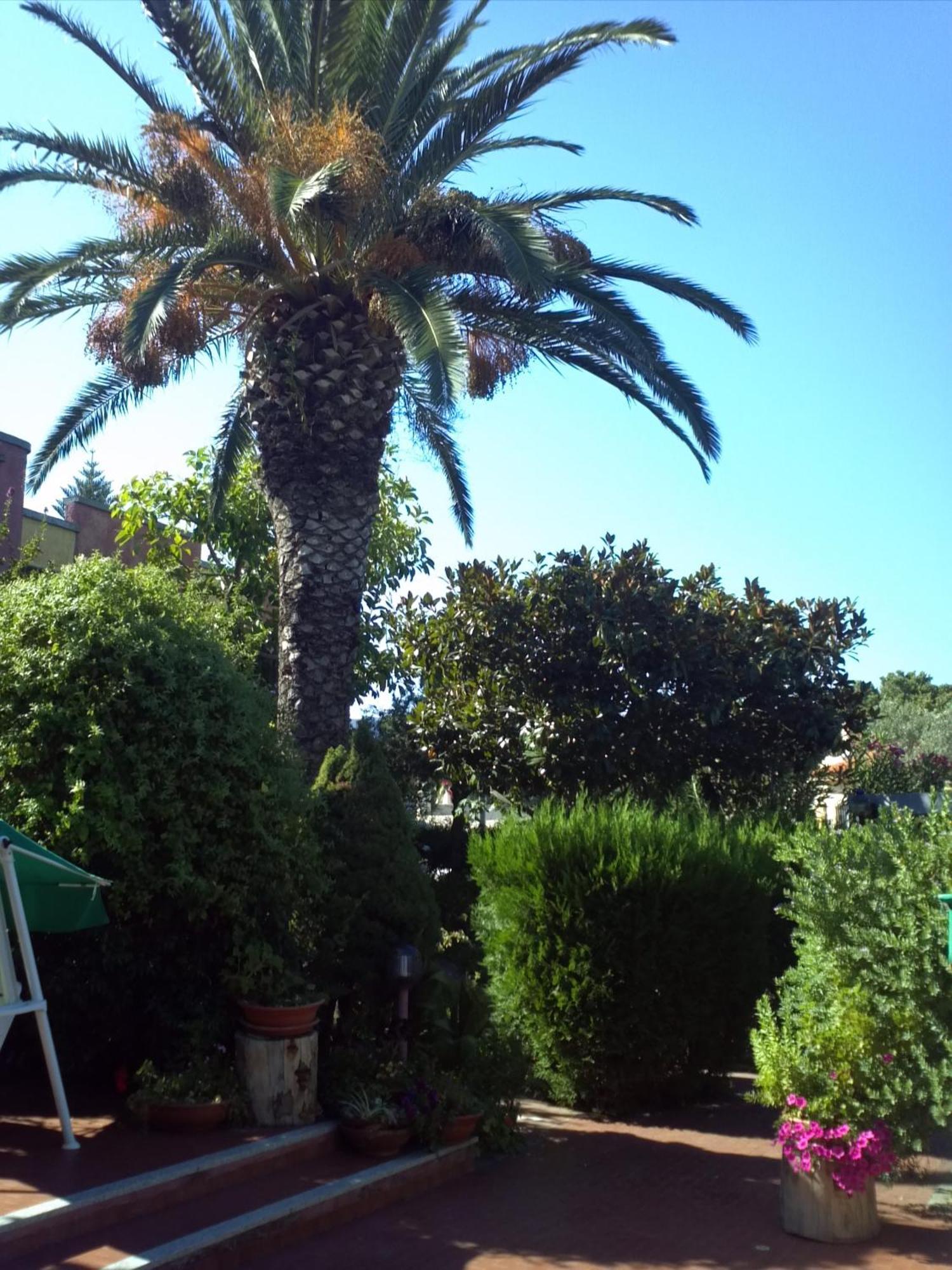 Hotel Abbaruja Olbia Eksteriør billede